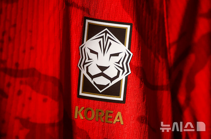 대한민국 엠블럼